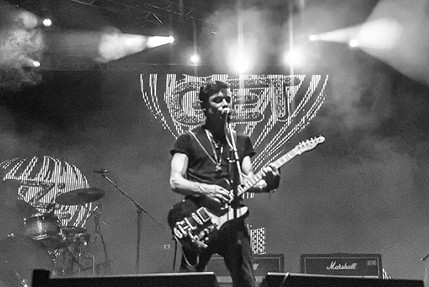 the wombats
